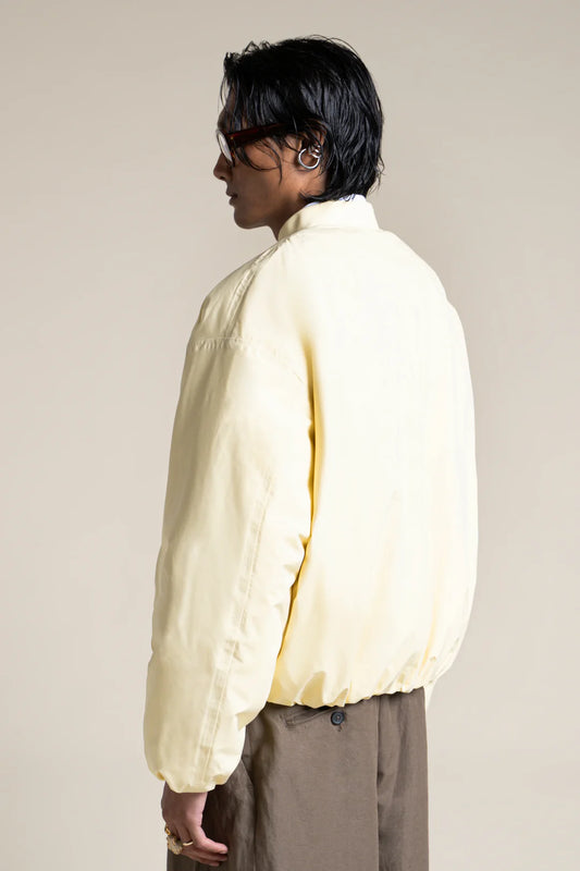Alesia bombers