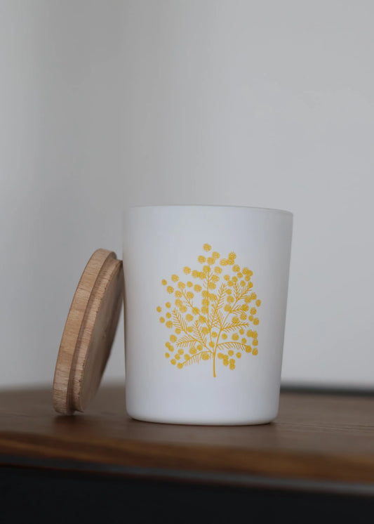 Bougies mimosa