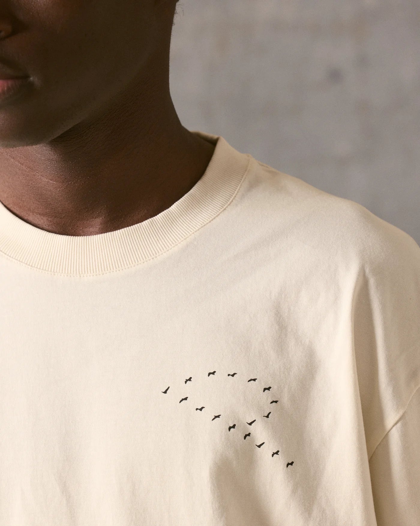 Tee-shirt Blackbirds
